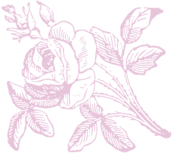 Eduards & Esme Footer Flower Graphic